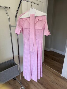 Zara Pink Striped Maxi Shirt Dress